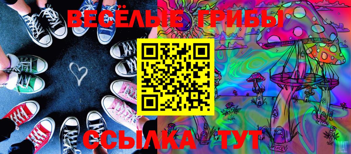 Псилоцибиновые грибы Magic Shrooms  где найти наркотики  Саранск  Вход с VPN 